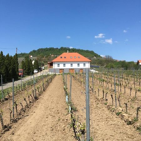 Hotel Somlo Kolonics Kuria Somlovasarhely Exterior foto