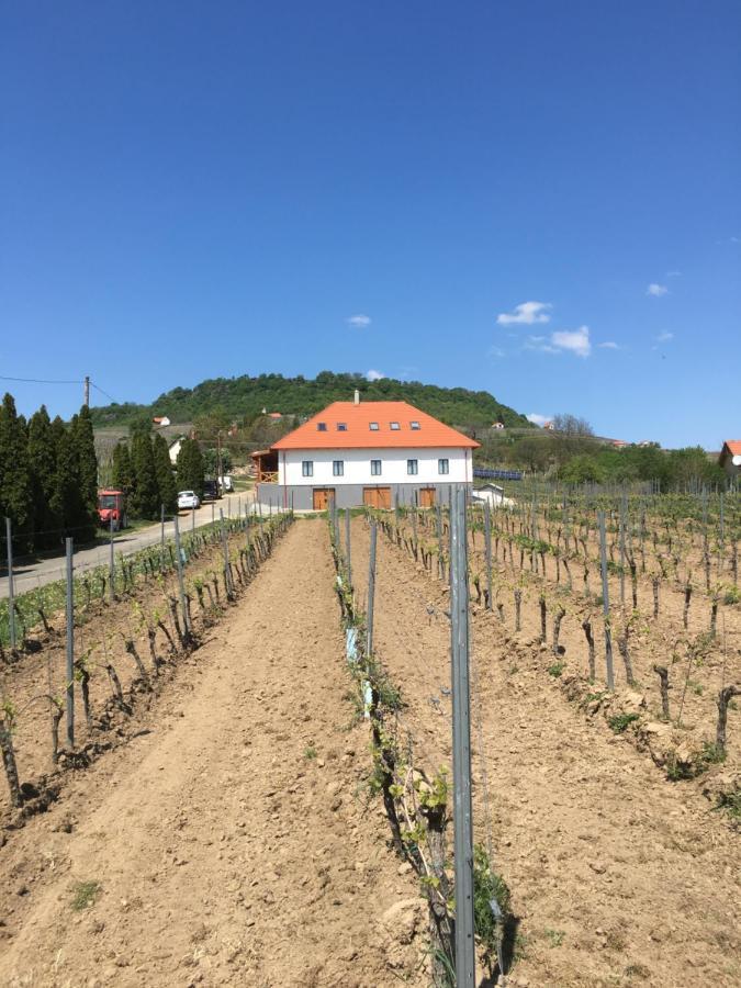 Hotel Somlo Kolonics Kuria Somlovasarhely Exterior foto