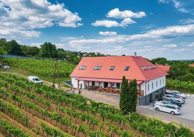 Hotel Somlo Kolonics Kuria Somlovasarhely Exterior foto